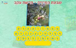 משחק שבעת המינים - פרשת עקב